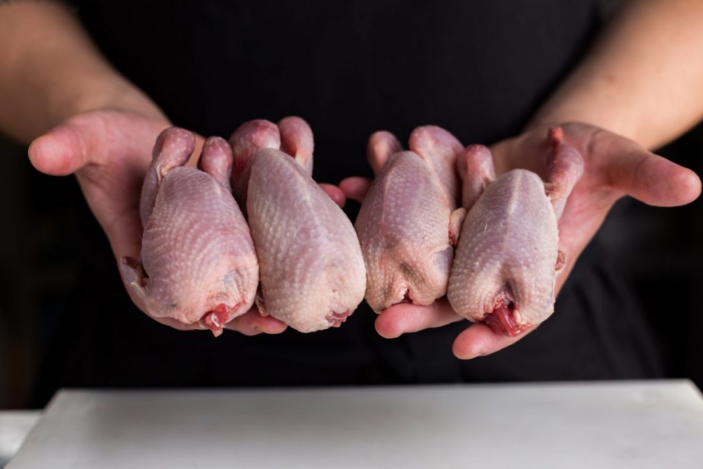 Carne de codorniz fresca para restaurantes, hoteles y sector HORECA
