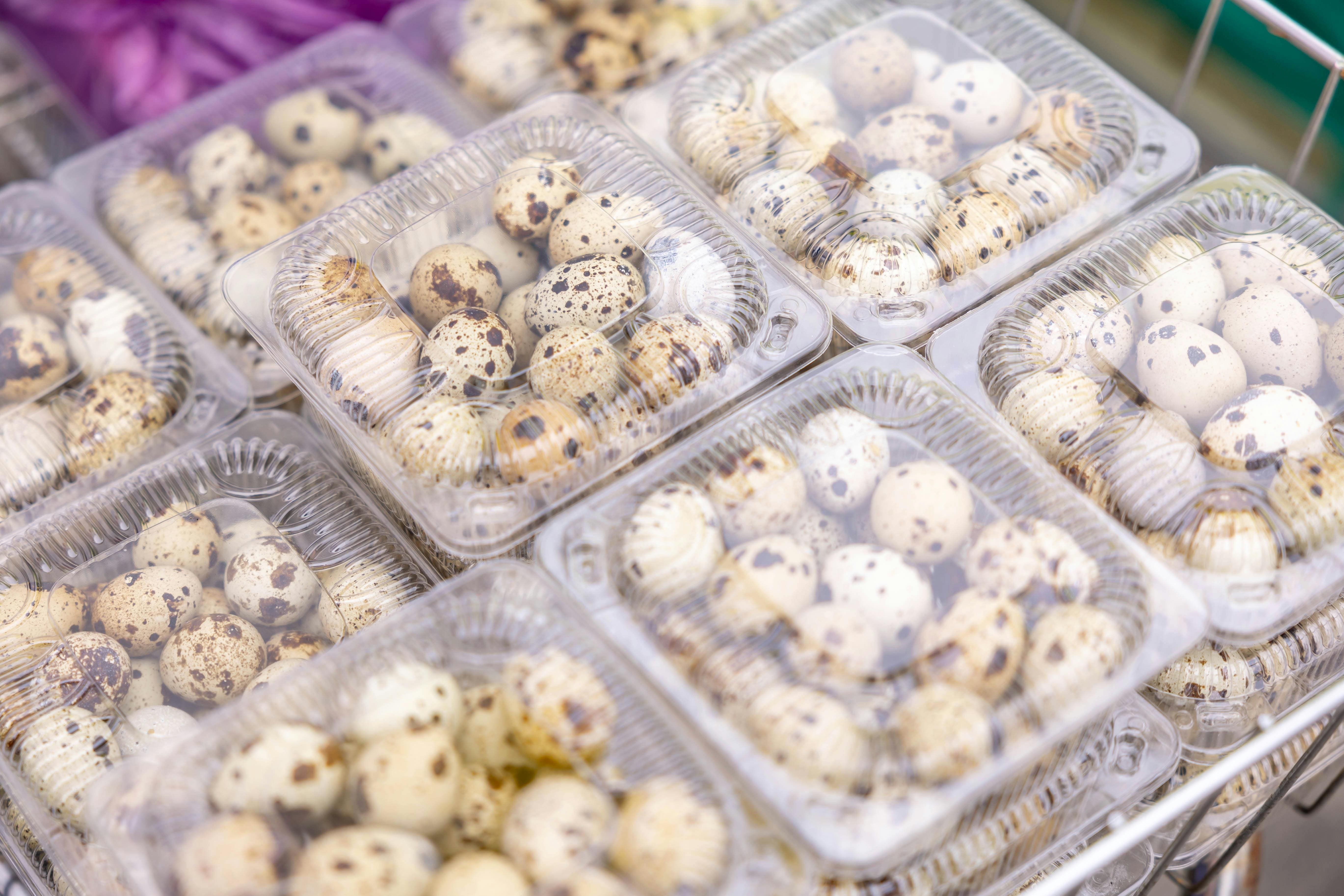 Huevos de codorniz empacados en cubetas para supermercados y retail